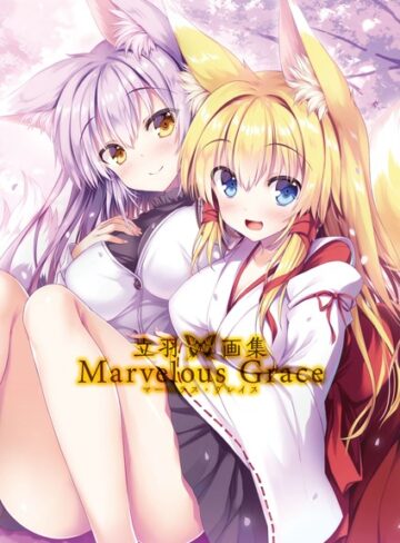 立羽❤立羽画集 Marvelous Grace【単行本】評価