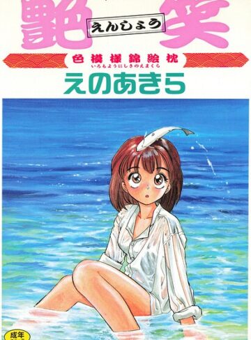 えのあきら❤艶笑 色模様錦絵枕【単行本】評価
