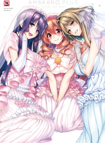 ピロ水❤アマカノ＋ ビジュアルファンブック【単行本】評価5.00