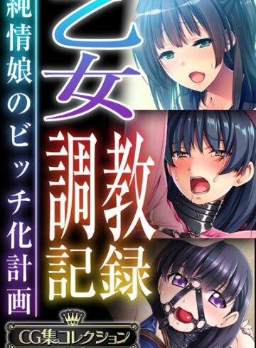大人のSEXY絵本❤乙女調教記録〜純情娘のビッチ化計画〜【CG集コレクションBIG】【単行本】評価