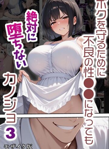 バベル太郎❤ボクを守るために不良の性●●になっても絶対に堕ちないカノジョ モザイク版【単行本】評価